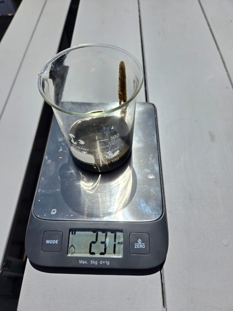 Sludge mass measurement during dewatering treatability testing, WWTP South Africa