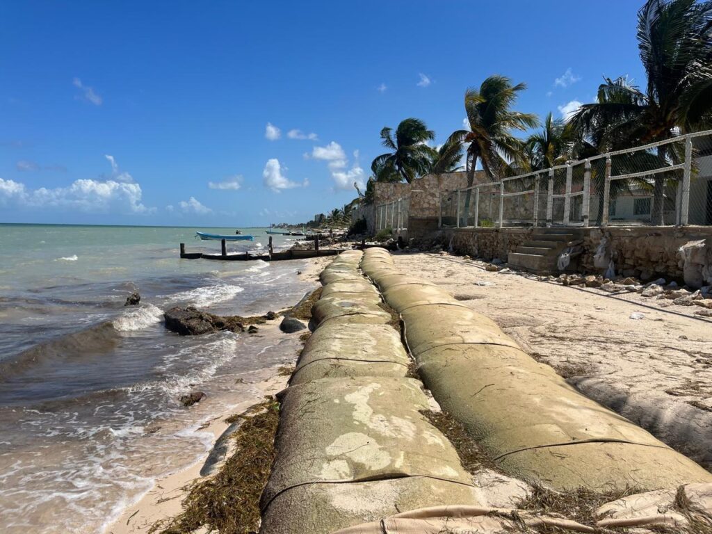 TITANBag® coastal revetment — bags protecting beachfront properties with palm trees