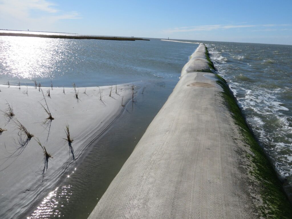Bird Island Cove Marsh Restoration